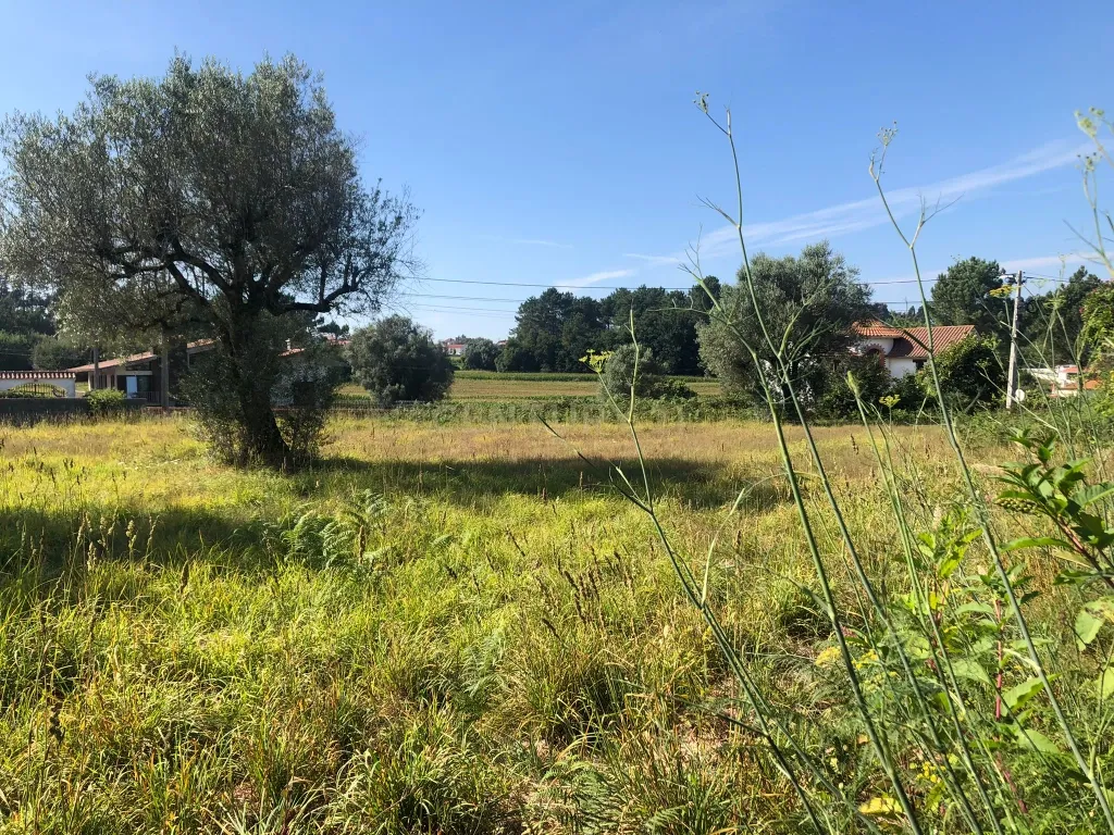 Lote de terreno de Construção com 872.5m2 Forjães-Esposende - Image 4