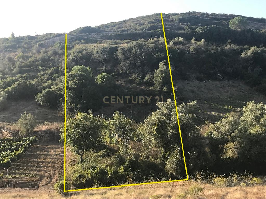 Terreno Arruda dos Vinhos - Lisboa - Image 40