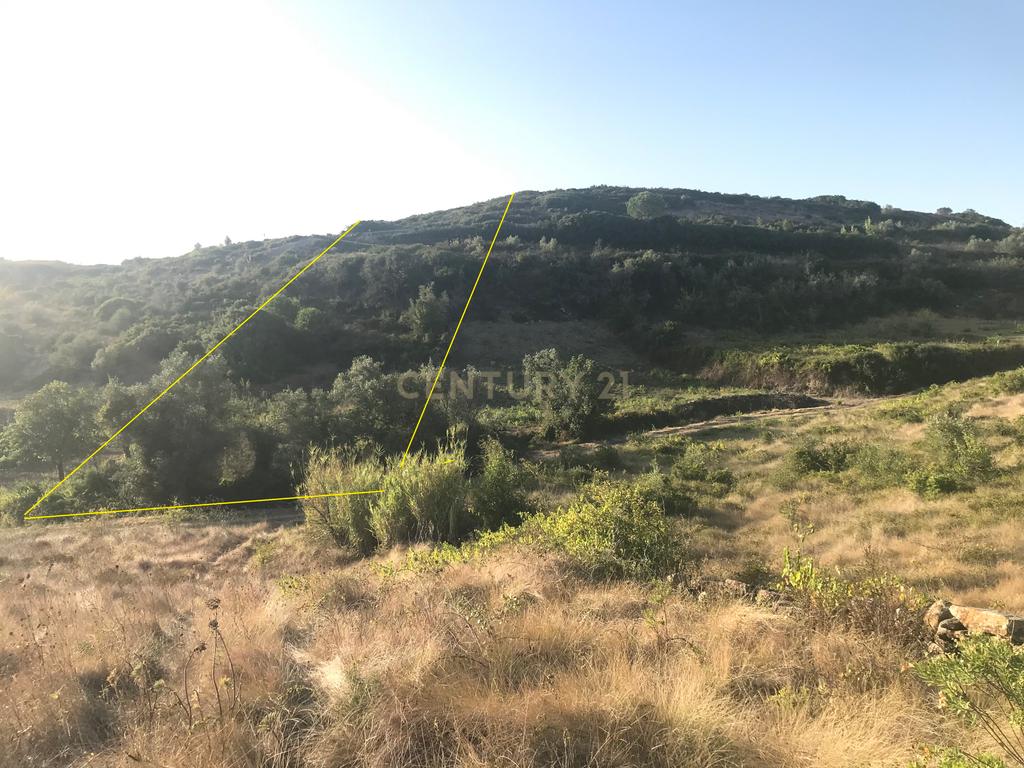 Terreno Arruda dos Vinhos - Lisboa - Image 5