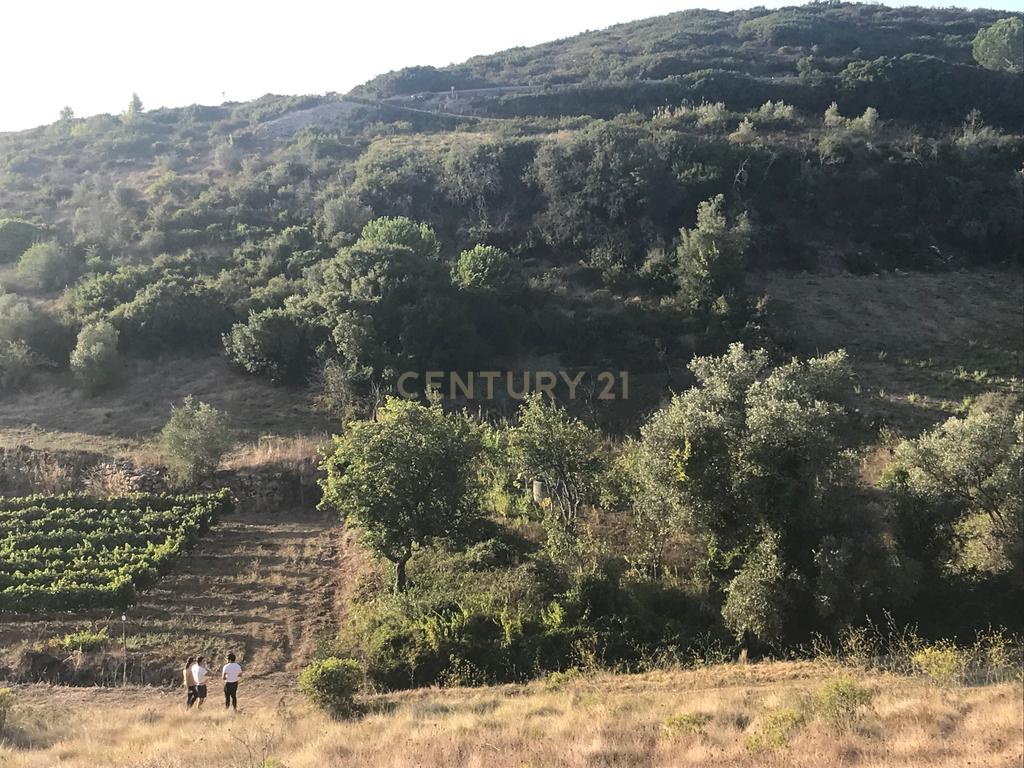 Terreno Arruda dos Vinhos - Lisboa - Image 6