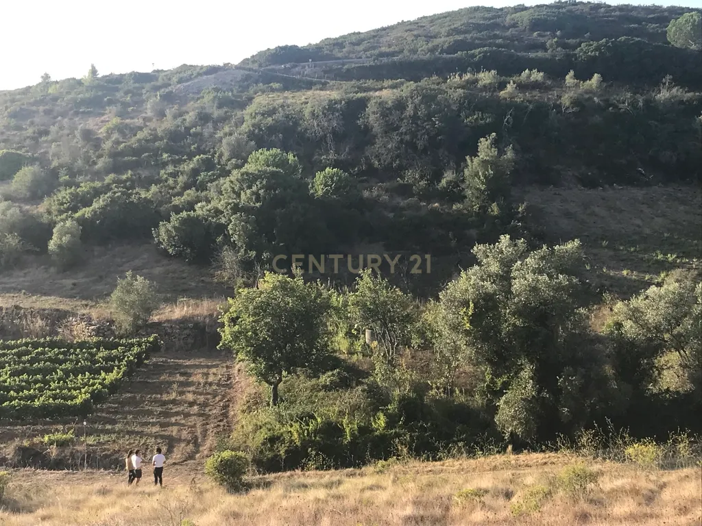 Terreno Arruda dos Vinhos - Lisboa - Image 6