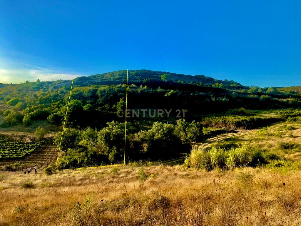 Terreno Arruda dos Vinhos - Lisboa - Image 7