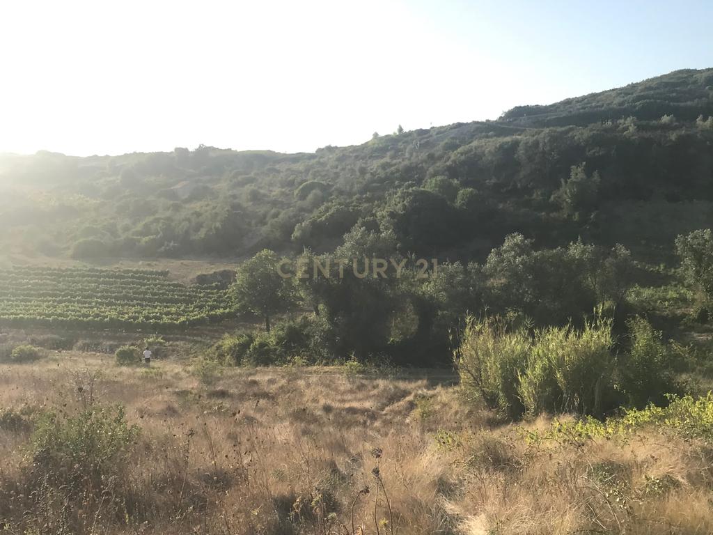 Terreno Arruda dos Vinhos - Lisboa - Image 10