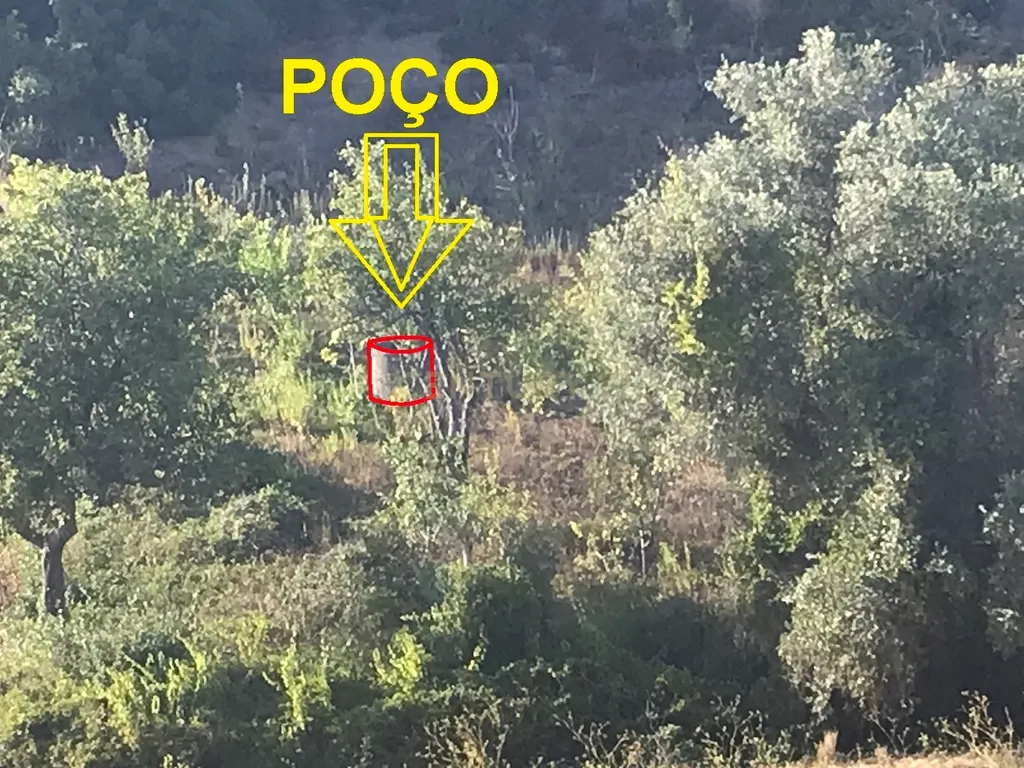 Terreno Arruda dos Vinhos - Lisboa - Image 3