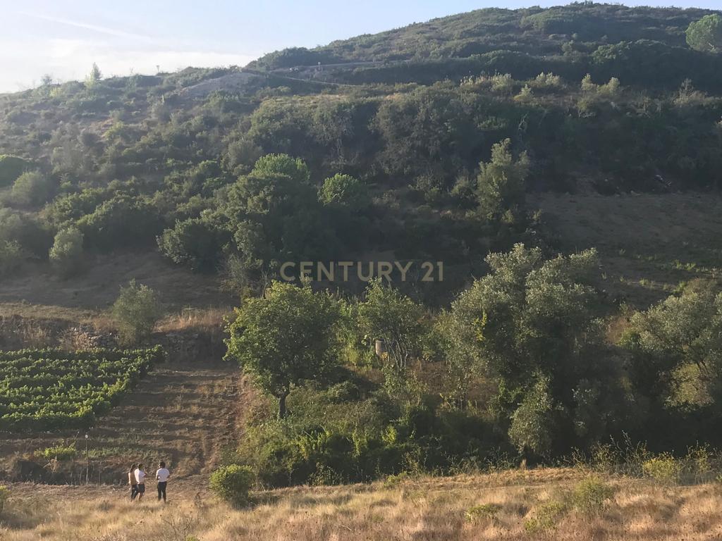 Terreno Arruda dos Vinhos - Lisboa - Image 11