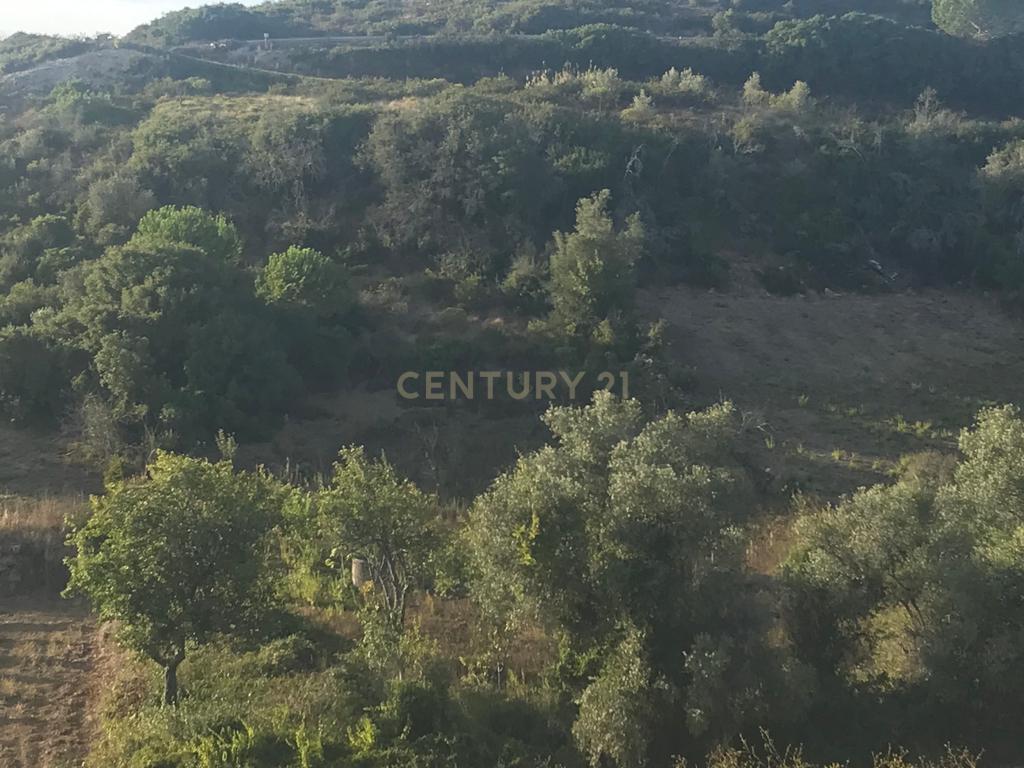 Terreno Arruda dos Vinhos - Lisboa - Image 13