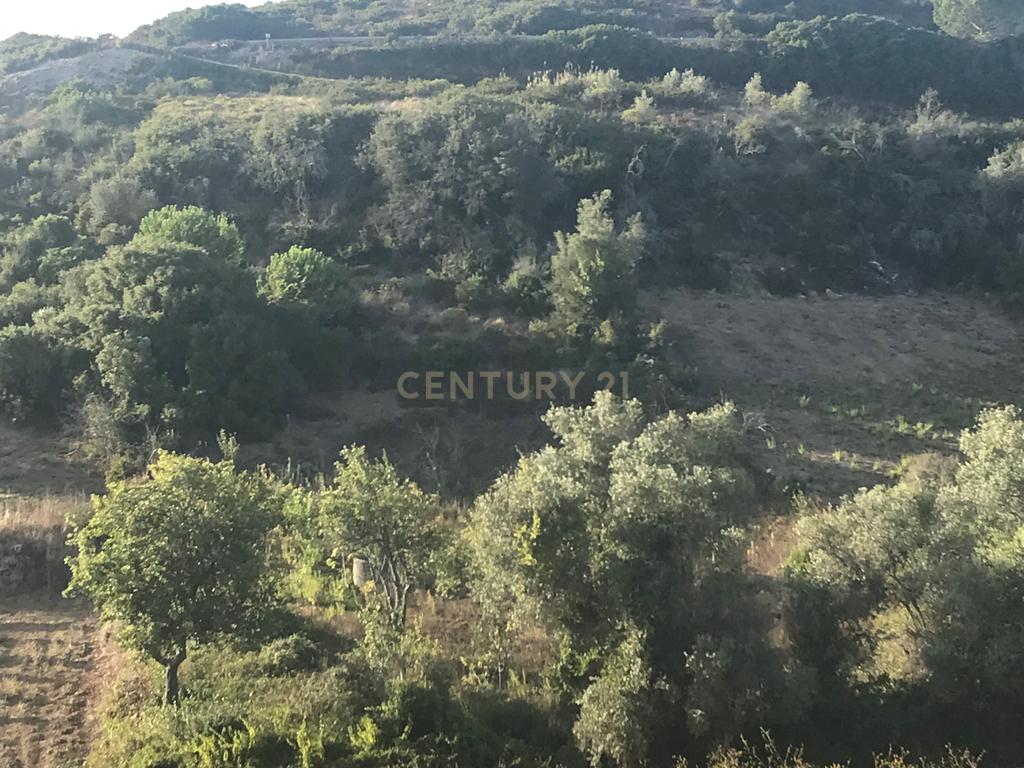 Terreno Arruda dos Vinhos - Lisboa - Image 14