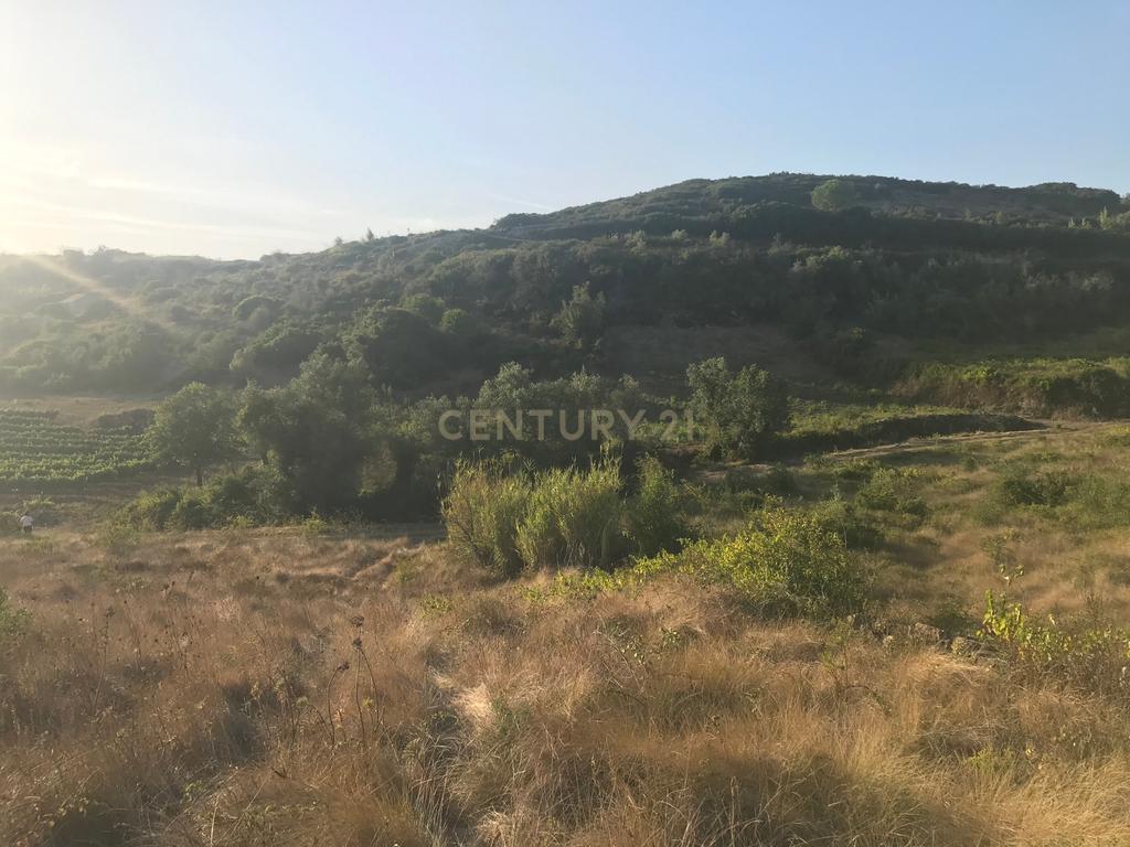 Terreno Arruda dos Vinhos - Lisboa - Image 15