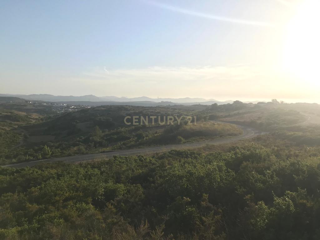 Terreno Arruda dos Vinhos - Lisboa - Image 4