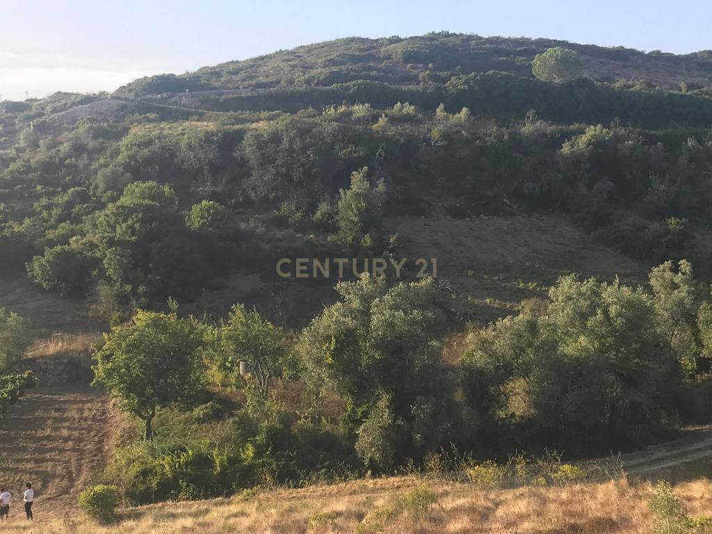 Terreno Arruda dos Vinhos - Lisboa - Image 16