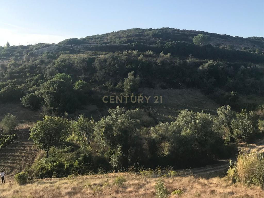 Terreno Arruda dos Vinhos - Lisboa - Image 19
