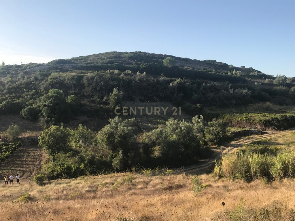 Terreno Arruda dos Vinhos - Lisboa - Image 20