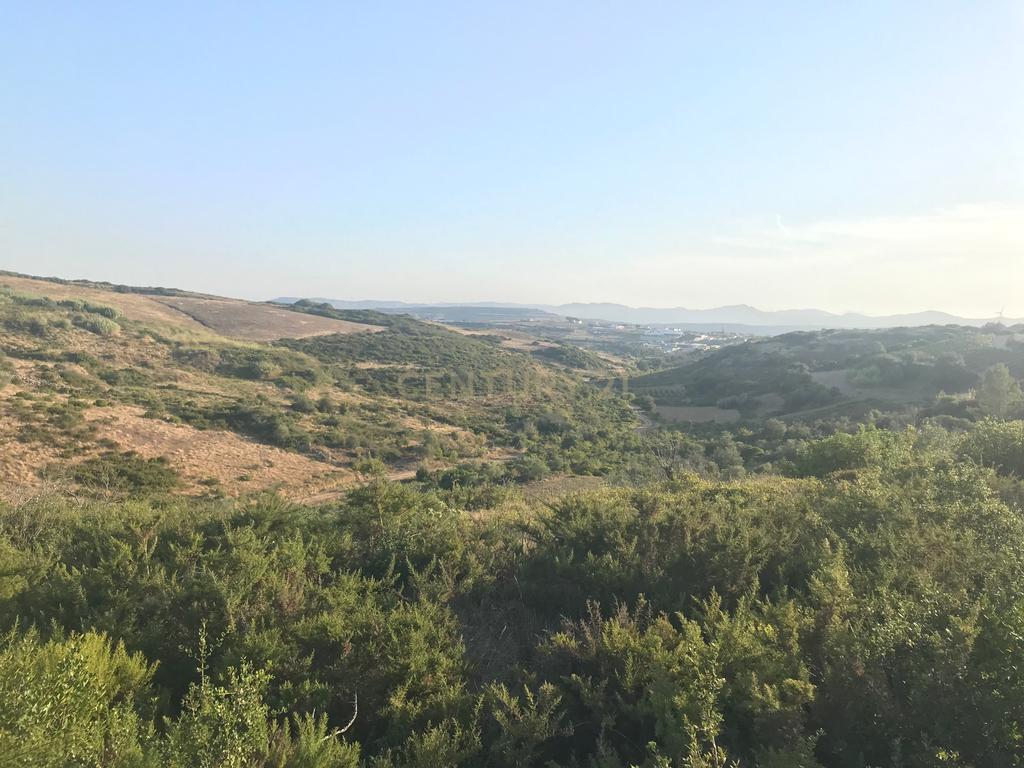 Terreno Arruda dos Vinhos - Lisboa - Image 21