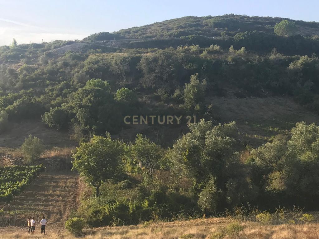 Terreno Arruda dos Vinhos - Lisboa - Image 24