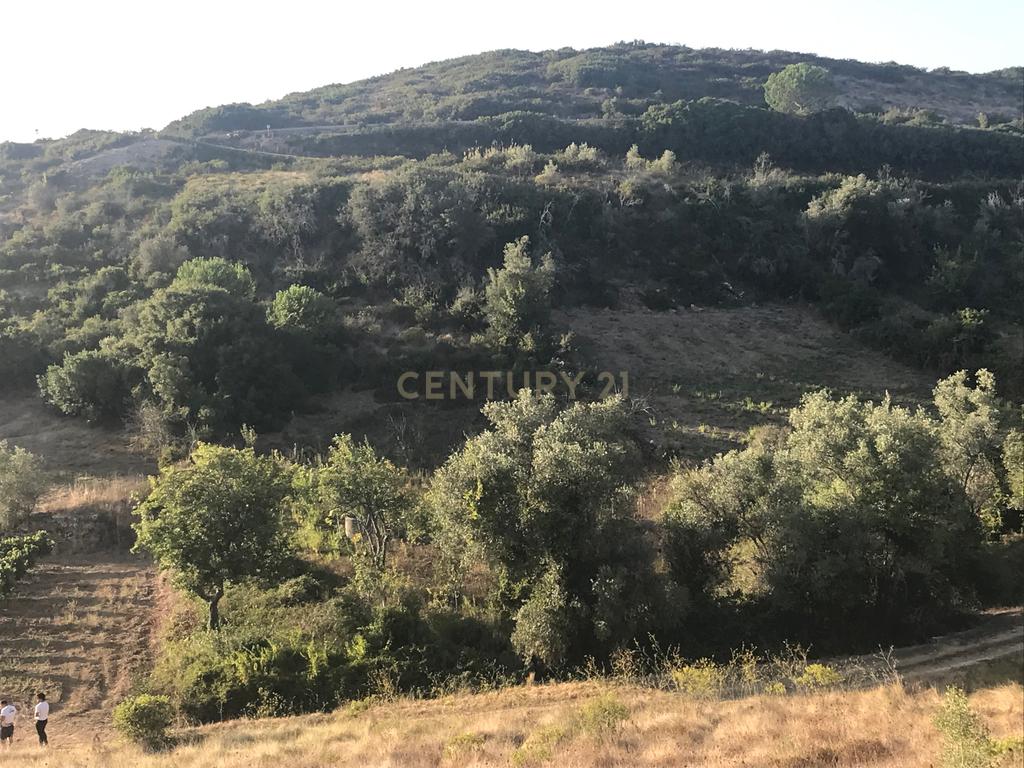 Terreno Arruda dos Vinhos - Lisboa - Image 26