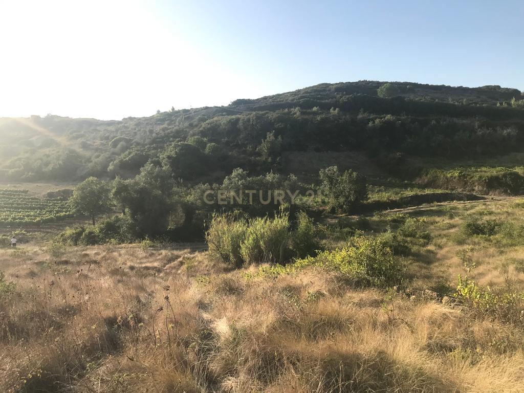 Terreno Arruda dos Vinhos - Lisboa - Image 27