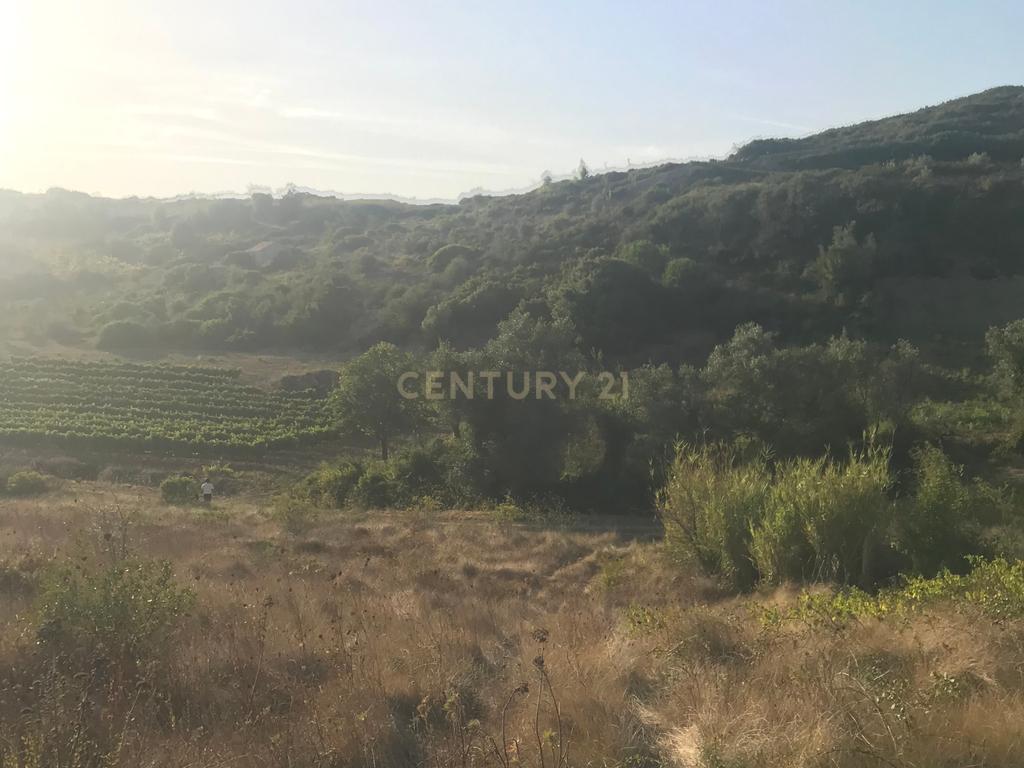 Terreno Arruda dos Vinhos - Lisboa - Image 28