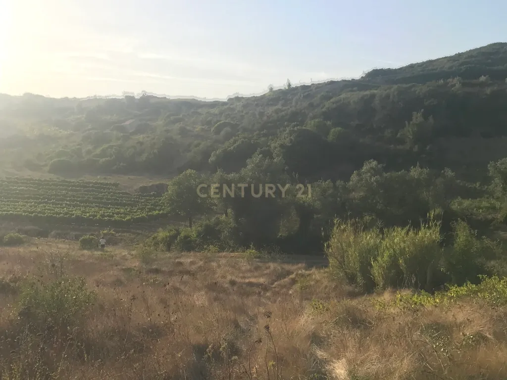 Terreno Arruda dos Vinhos - Lisboa - Image 28