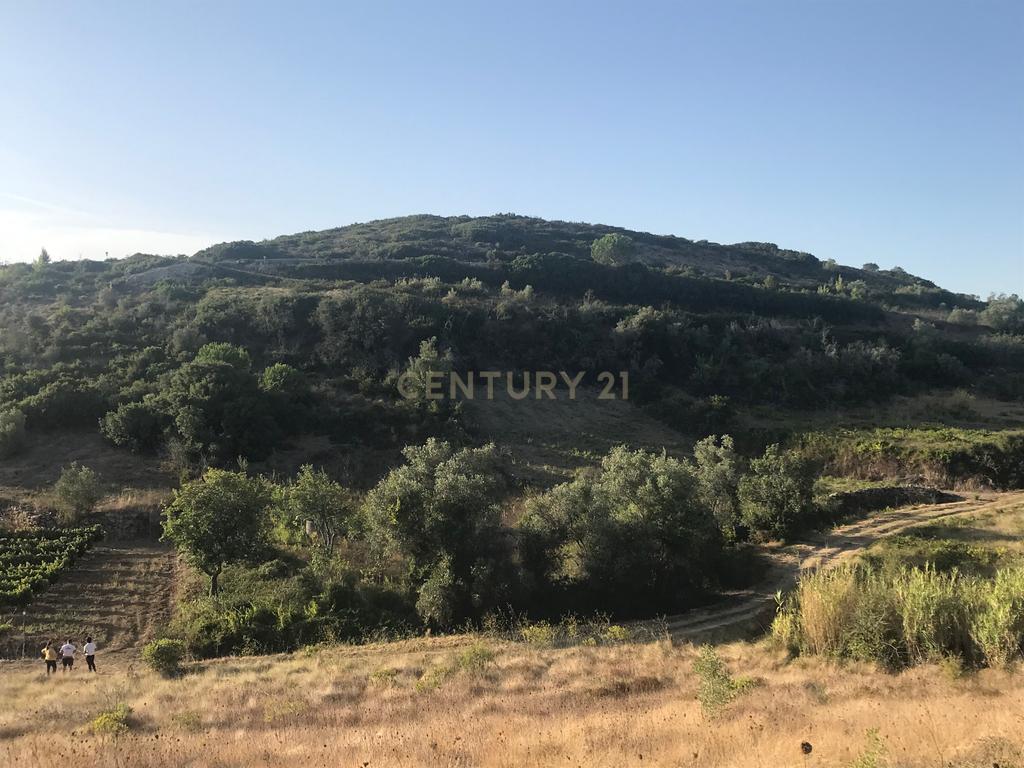 Terreno Arruda dos Vinhos - Lisboa - Image 29