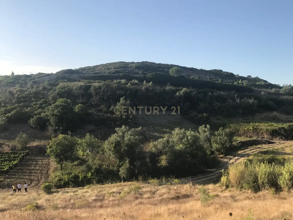 Terreno Arruda dos Vinhos - Lisboa - Image 29