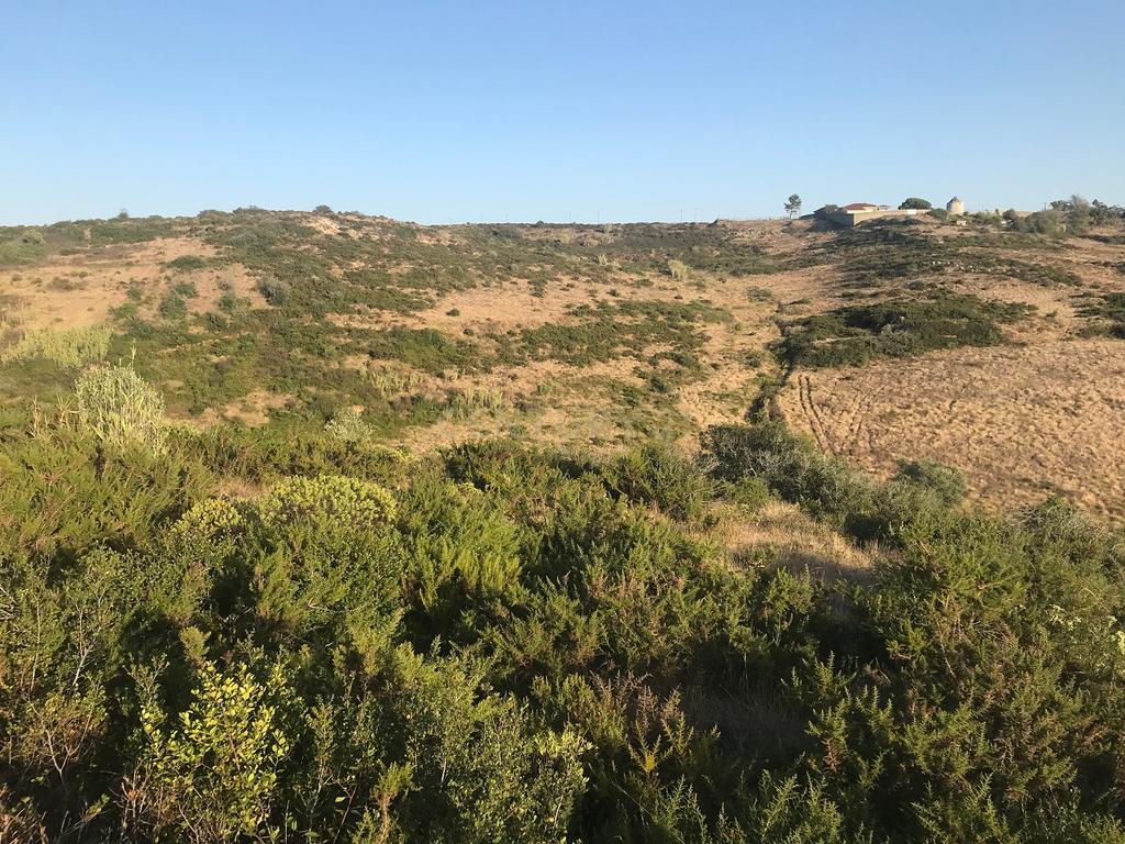Terreno Arruda dos Vinhos - Lisboa - Image 33