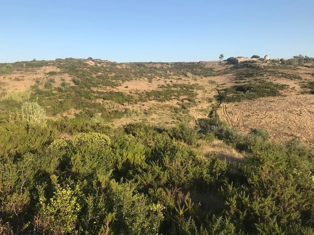 Terreno Arruda dos Vinhos - Lisboa - Image 33