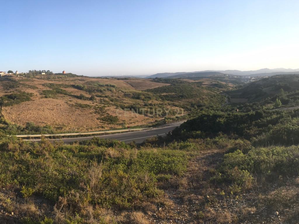 Terreno Arruda dos Vinhos - Lisboa - Image 32