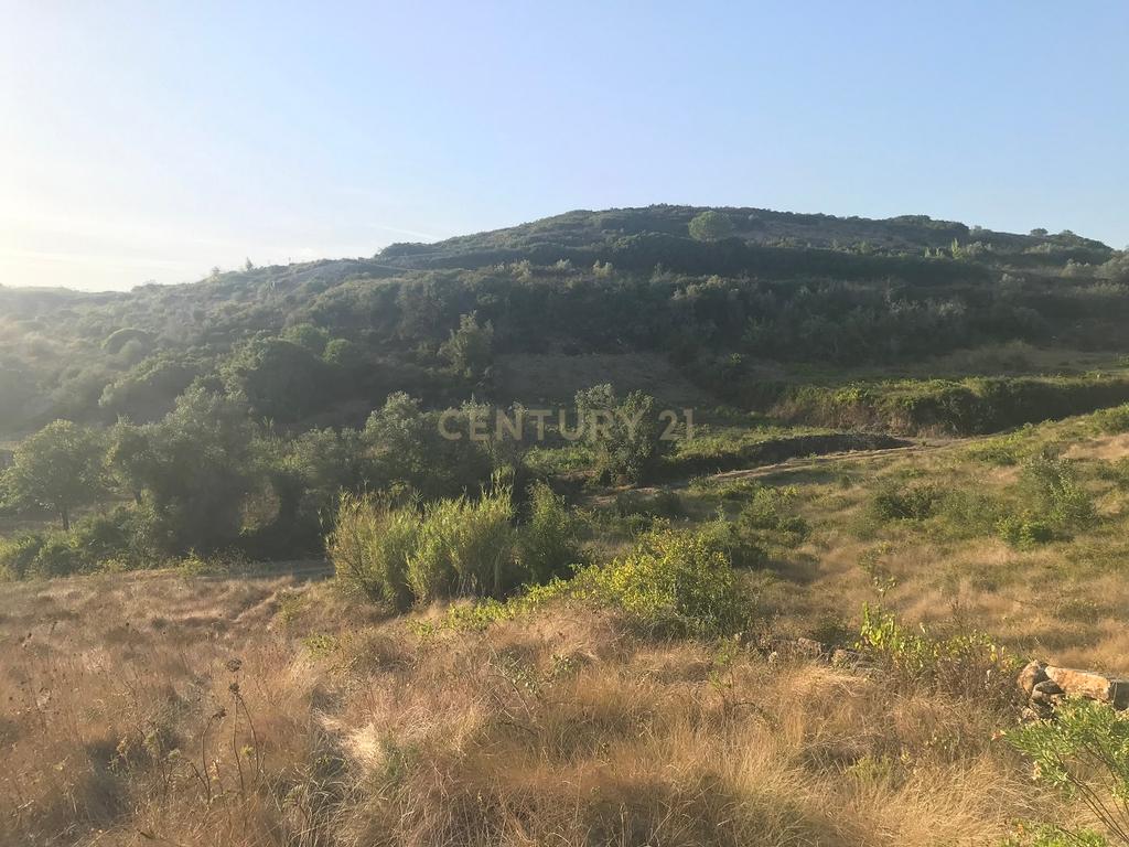 Terreno Arruda dos Vinhos - Lisboa - Image 37