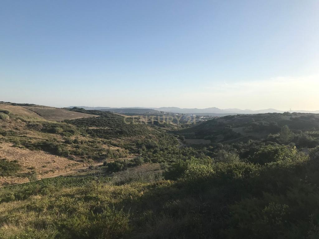 Terreno Arruda dos Vinhos - Lisboa - Image 38