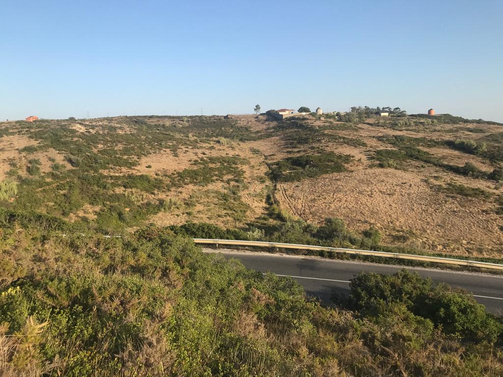 Terreno Arruda dos Vinhos - Lisboa - Image 39