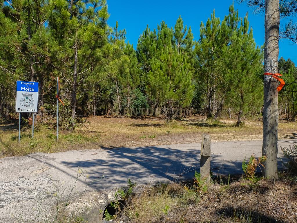 Terreno Plano  Para Construção Industrial - Image 6