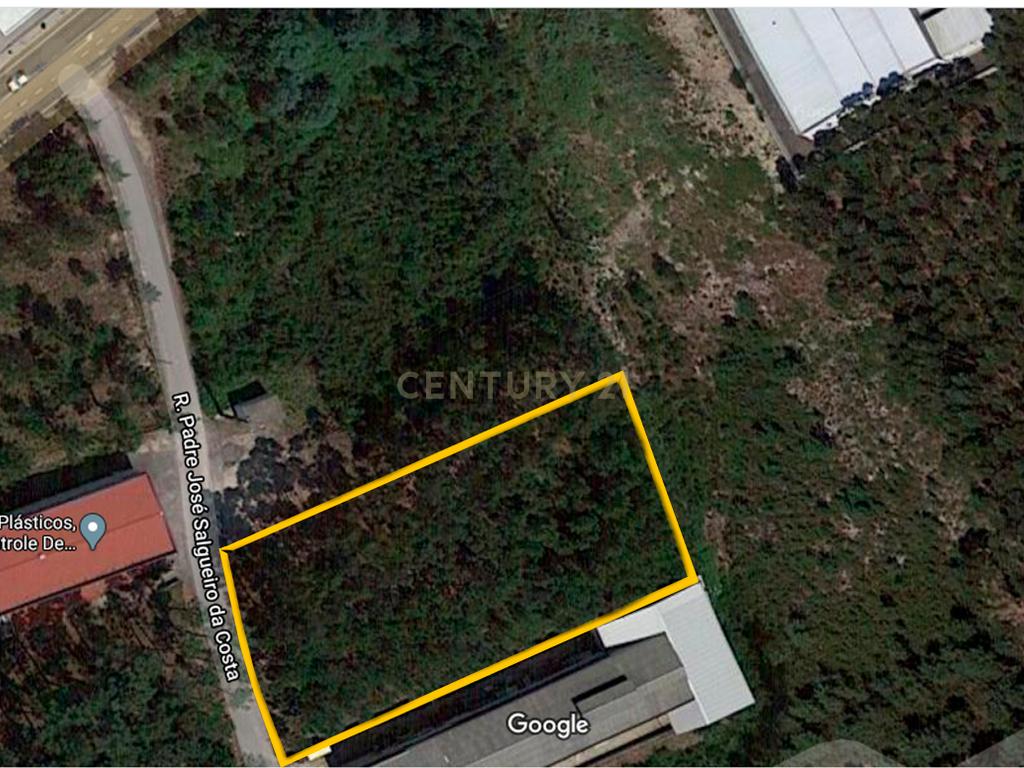 Terreno Plano  Para Construção Industrial - Image 1