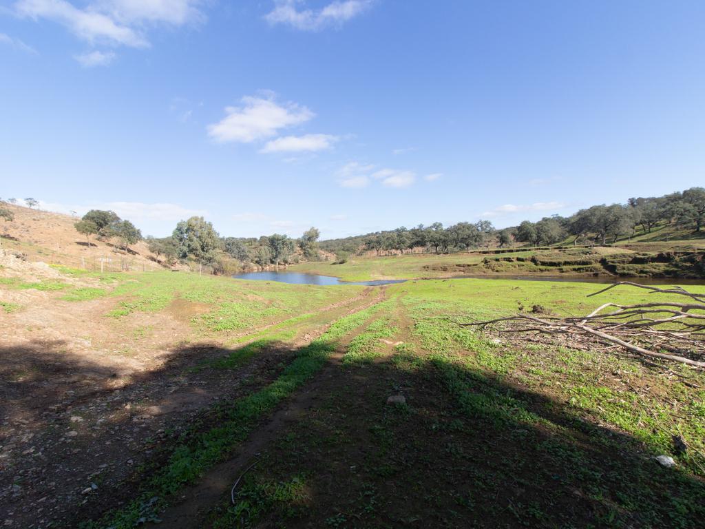 Terreno em Vila Verde de Ficalho | Oportunidade Única com 35,48 Hectares no Coração do Alentejo - Image 5