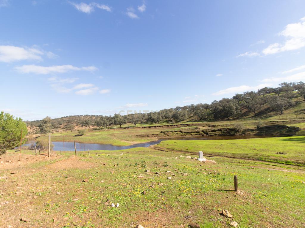 Terreno em Vila Verde de Ficalho | Oportunidade Única com 35,48 Hectares no Coração do Alentejo - Image 4