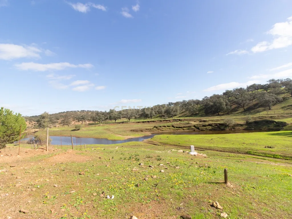 Terreno em Vila Verde de Ficalho | Oportunidade Única com 35,48 Hectares no Coração do Alentejo - Image 4
