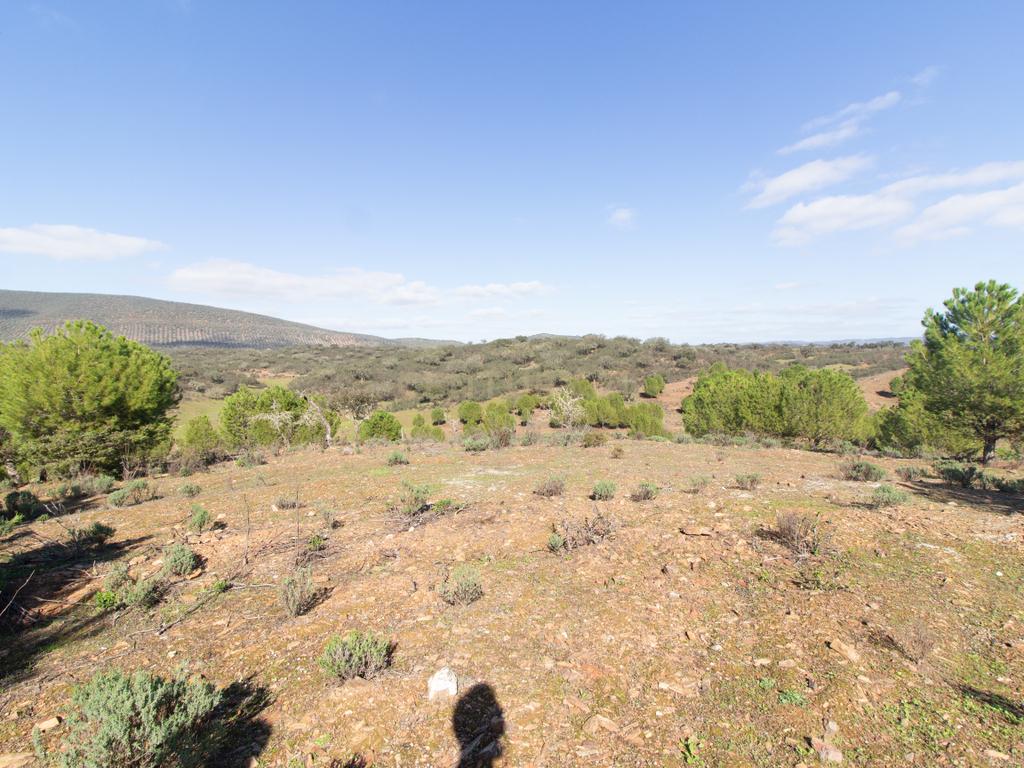 Terreno em Vila Verde de Ficalho | Oportunidade Única com 35,48 Hectares no Coração do Alentejo - Image 8