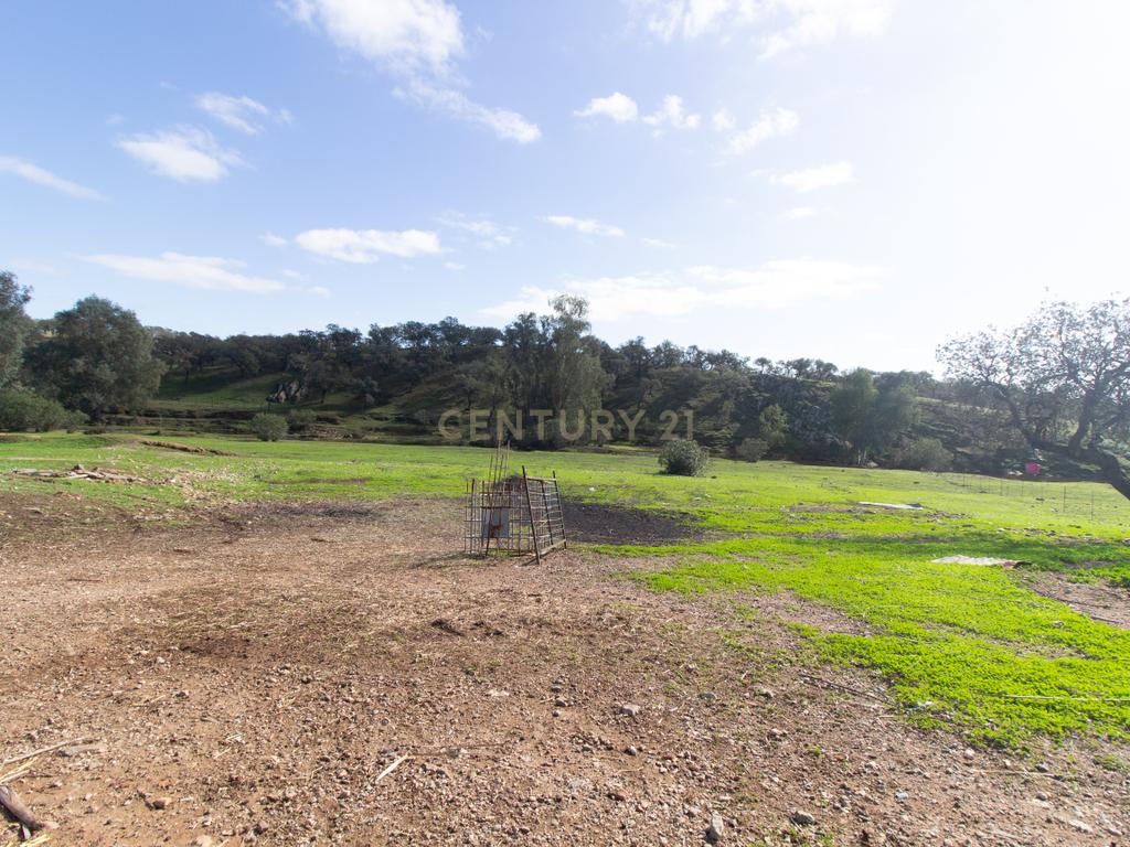 Terreno em Vila Verde de Ficalho | Oportunidade Única com 35,48 Hectares no Coração do Alentejo - Image 2