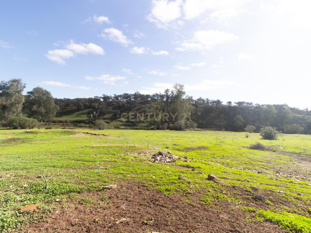 Terreno em Vila Verde de Ficalho | Oportunidade Única com 35,48 Hectares no Coração do Alentejo - Image 1