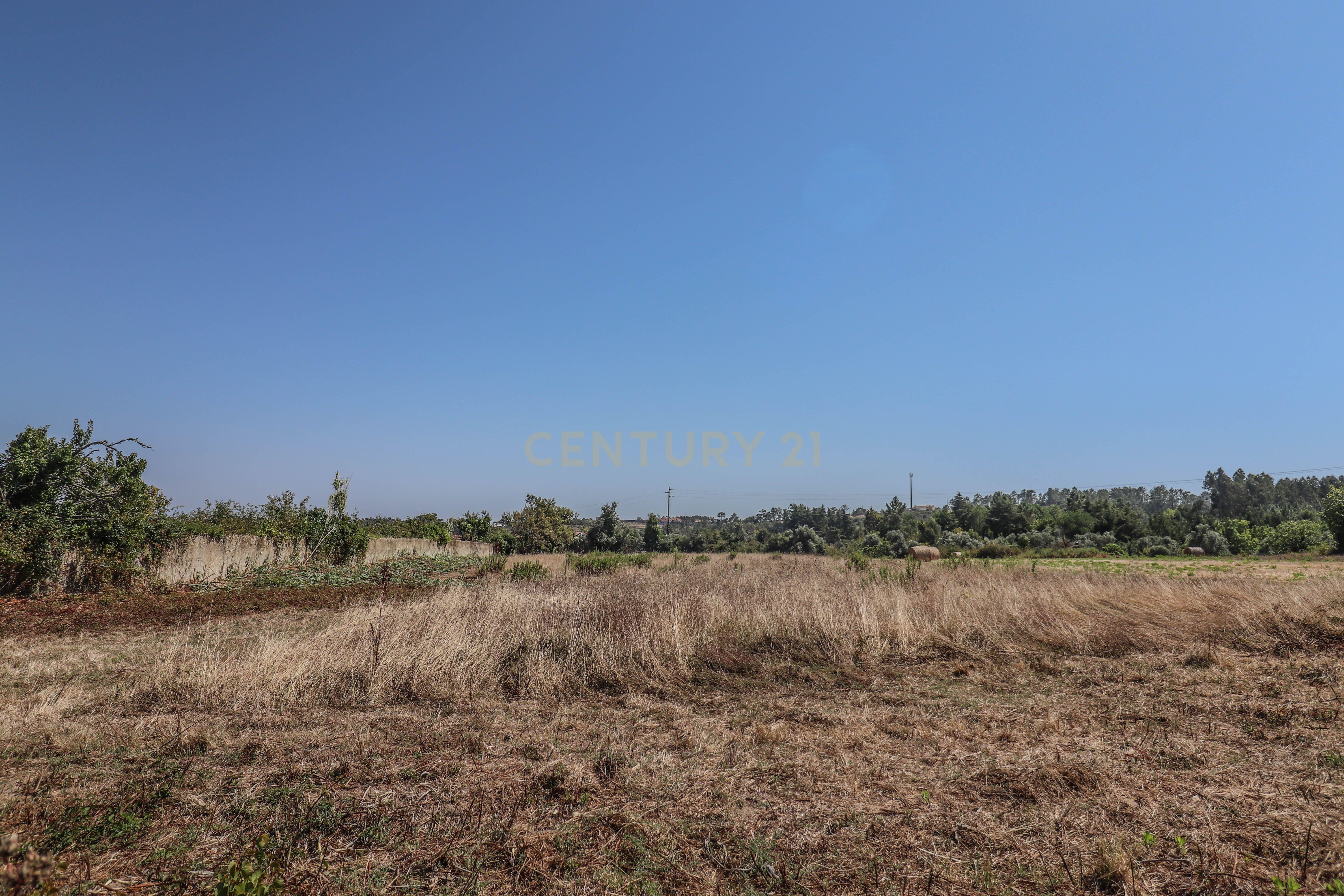 Terreno para construção com quatro mil metros quadrados, perto da Junta de Freguesia das Alhadas e Jardim-Escola João de Deus nas Alhadas, Figueira da Foz. - Image 11