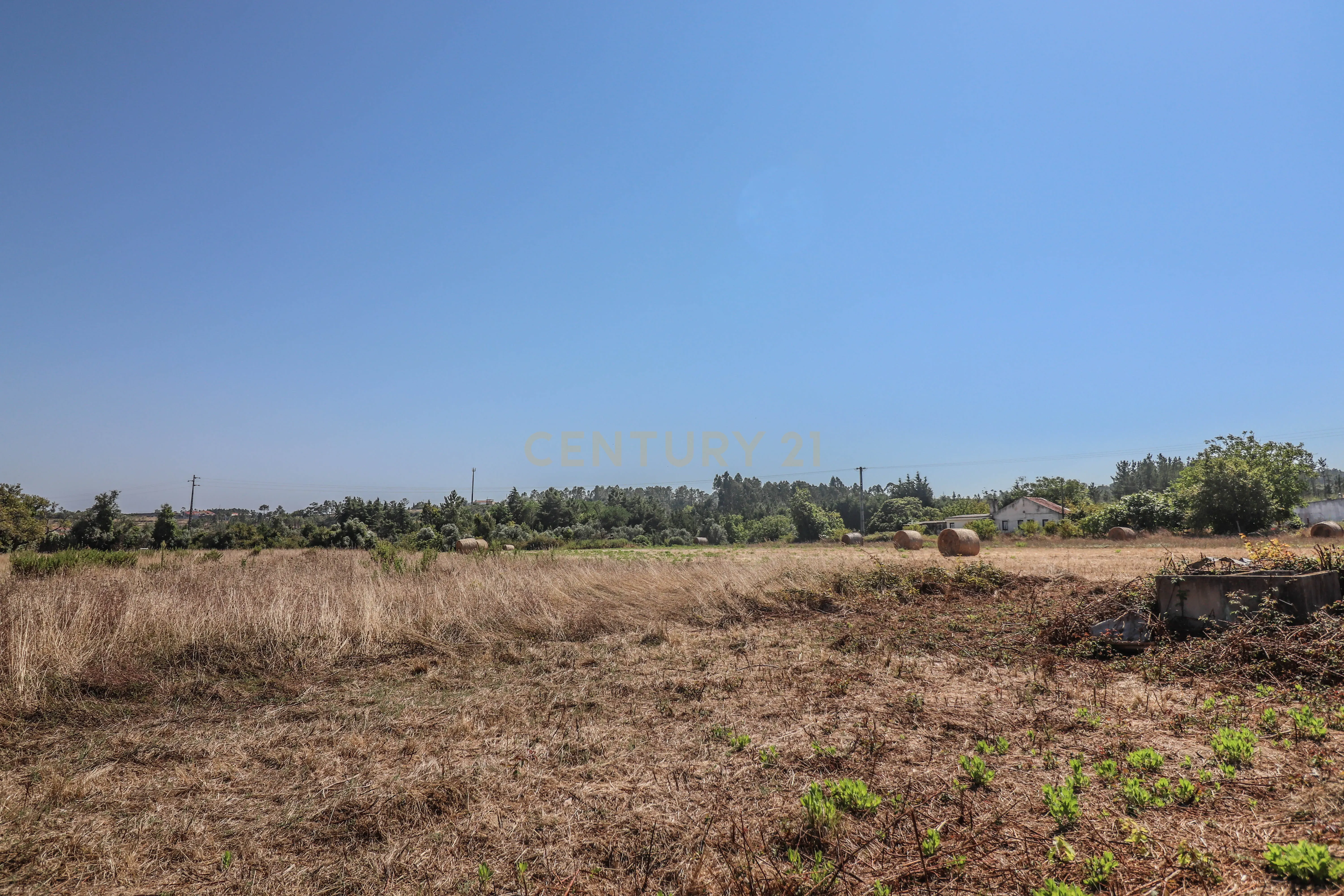 Terreno para construção com quatro mil metros quadrados, perto da Junta de Freguesia das Alhadas e Jardim-Escola João de Deus nas Alhadas, Figueira da Foz. - Image 10