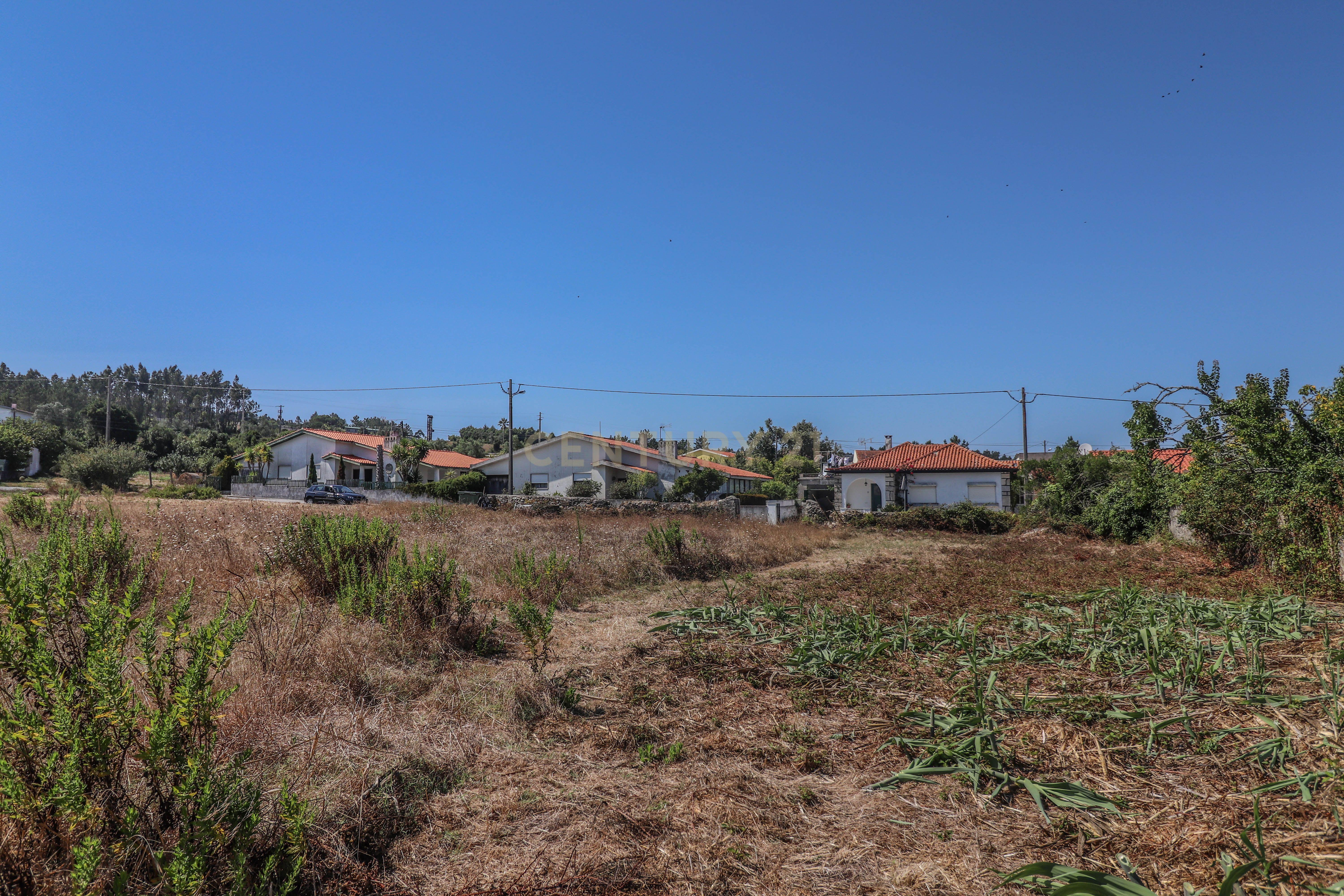 Terreno para construção com quatro mil metros quadrados, perto da Junta de Freguesia das Alhadas e Jardim-Escola João de Deus nas Alhadas, Figueira da Foz. - Image 9