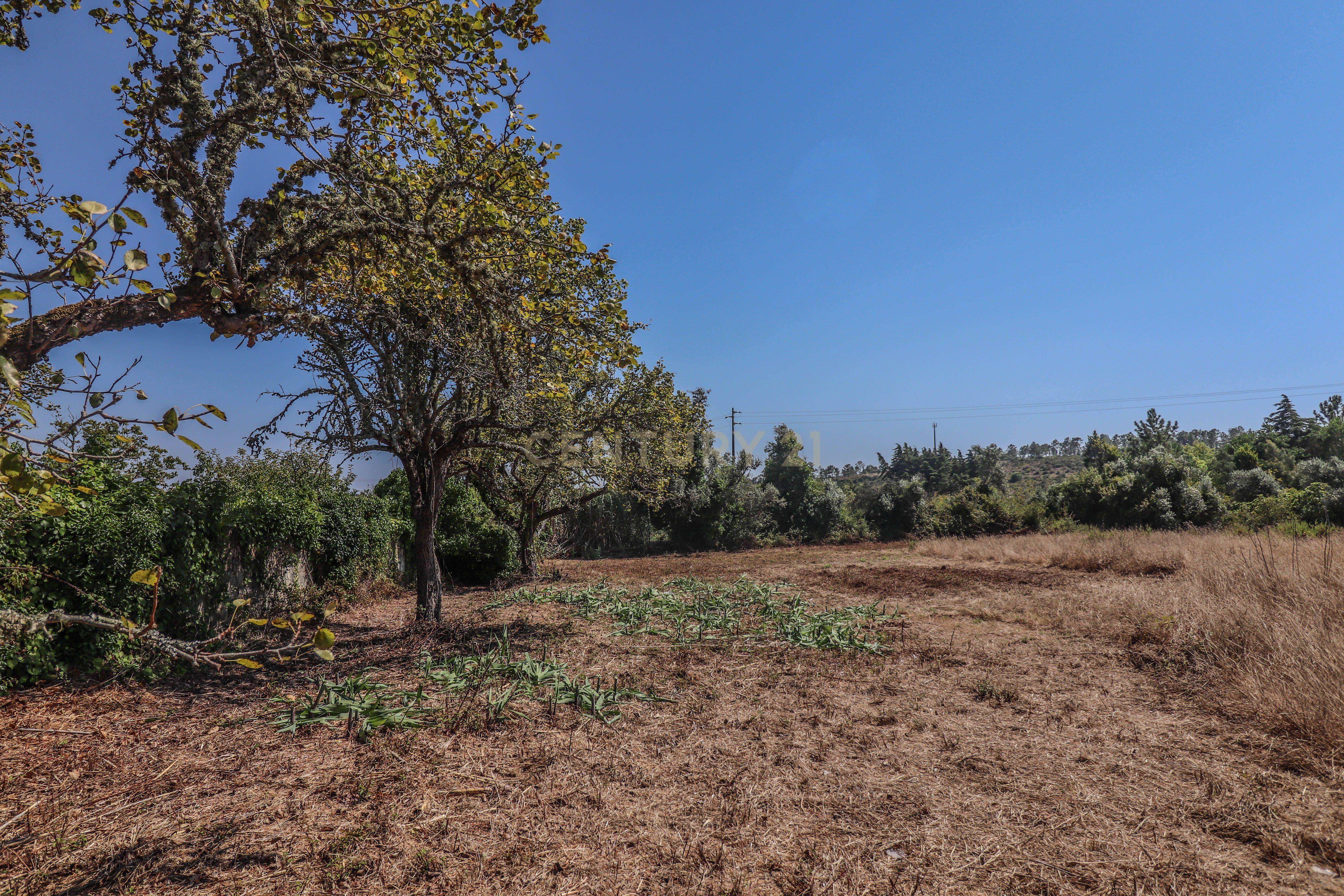 Terreno para construção com quatro mil metros quadrados, perto da Junta de Freguesia das Alhadas e Jardim-Escola João de Deus nas Alhadas, Figueira da Foz. - Image 6