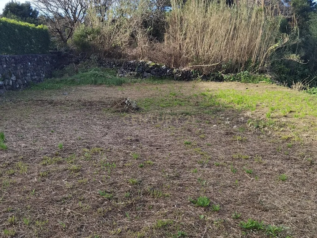 Excelente terreno em zona urbanizável na freguesia dos Biscoitos para construção da sua casa de sonho - Image 3