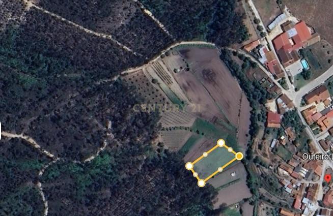 Terreno Rústico em Coimbra - Oportunidade Única por 2900€ - Image 4
