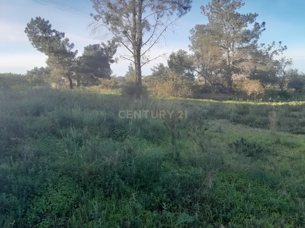 Terreno Zona Calma - Image 20