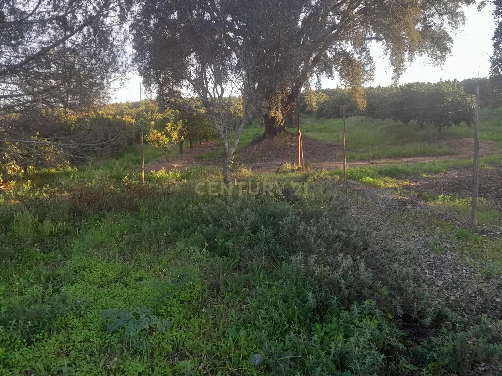 Terreno Zona Calma - Image 2