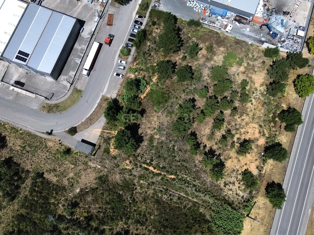 Terreno Urbano em Pelariga, Pombal - 6048m² com Viabilidade - Image 14