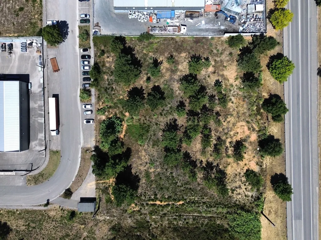 Terreno Urbano em Pelariga, Pombal - 6048m² com Viabilidade - Image 13