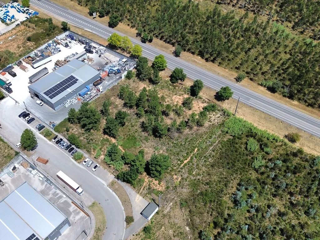 Terreno Urbano em Pelariga, Pombal - 6048m² com Viabilidade - Image 3