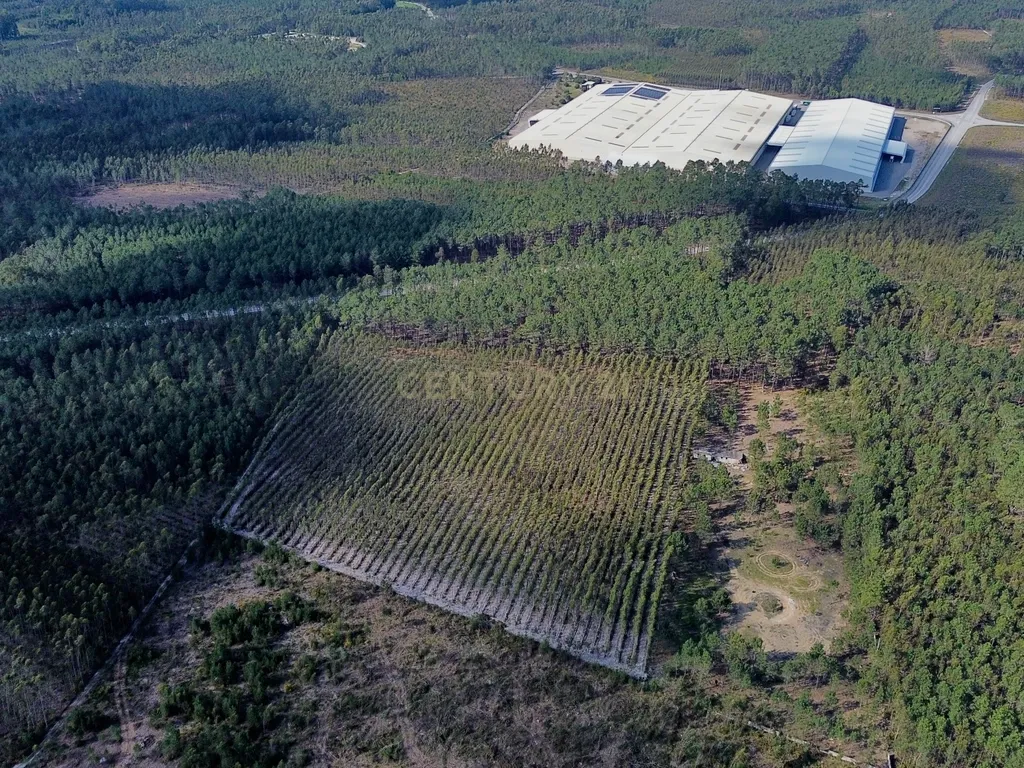 Terreno na Marinha Grande - Image 11